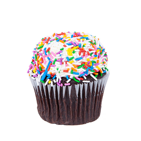 Chocolate Sprinkle Cupcake